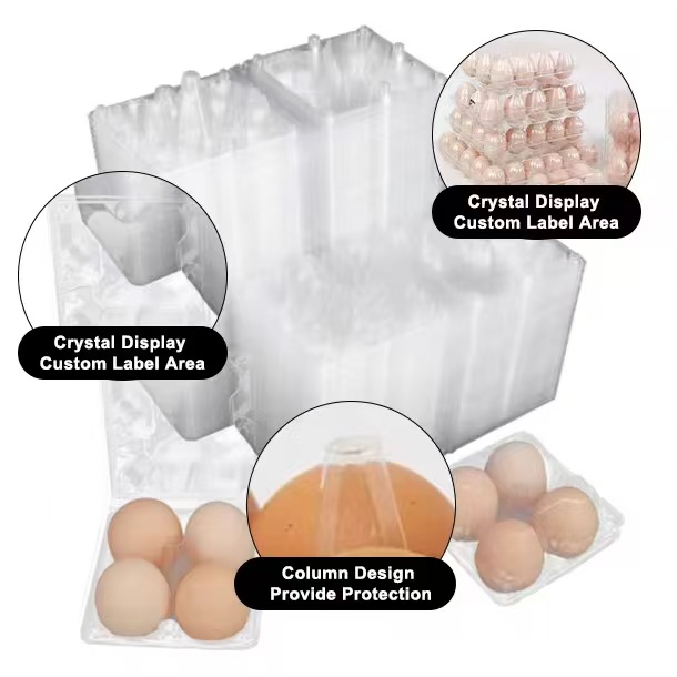 PET film food safety electronics protection