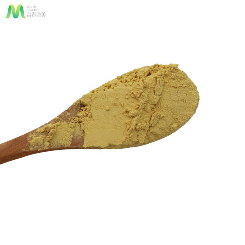  Excellent Quality Cracked Cell Wall Pine Pollen Powder Factory