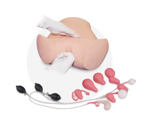 Gynecological Examination Model