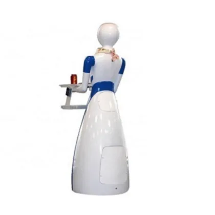 Touch RC Robot Dish Delivering Robot