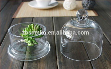 Hand blown smoothly glass candy container/Glass cake dome/Glass terrarium