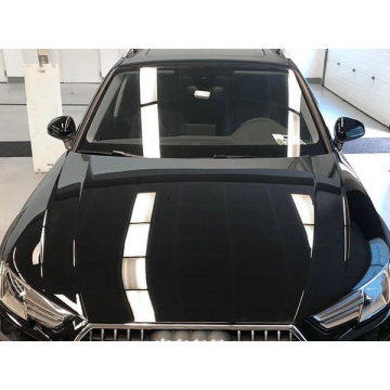 car paint protection film cost