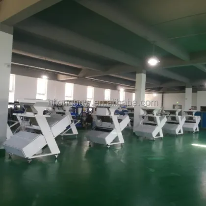 CT60 almonds belt type sorting machine/belt type almonds nut color sorter