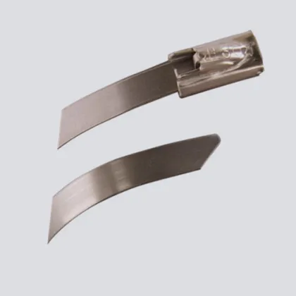 Stainless Steel Cable Ties/Steel Cable Ties/SS Cable ties