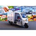 Tricycle réfrigéré électrique en vrac pour la livraison de produits frais