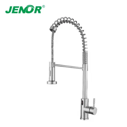 Pull Down Water Saving Spring Kitchen Faucet