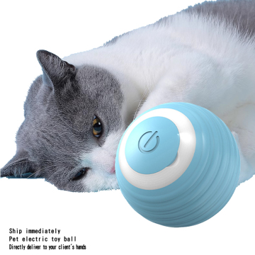 Interactive Automatic Movement Cat Toys for Indoor Training and Fun