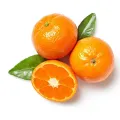 Sariwang Mandarin Orange para sa Pang-araw-araw na Pagkonsumo