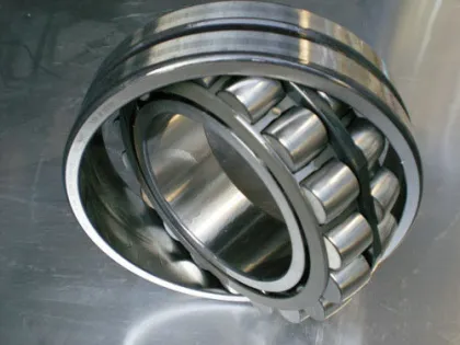 Ina Single Self-aligning Roller Bearings 23217e