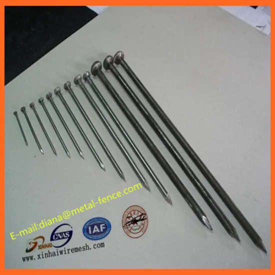 Common Nail/Common Nail Iron Nail Factory/Common Nail Size
