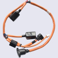 Electric Vehicle Wire Harness