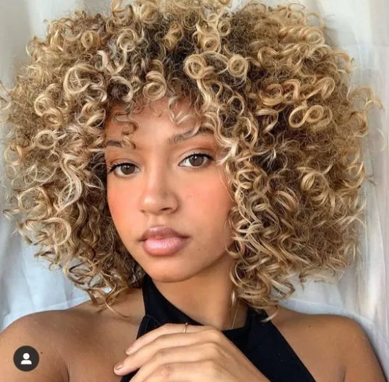 Vigorous Heat Resistant Short Afro Costume For Women Dropshipping Bangs Brown Color Bob Style Pixie Wigs Synthetic