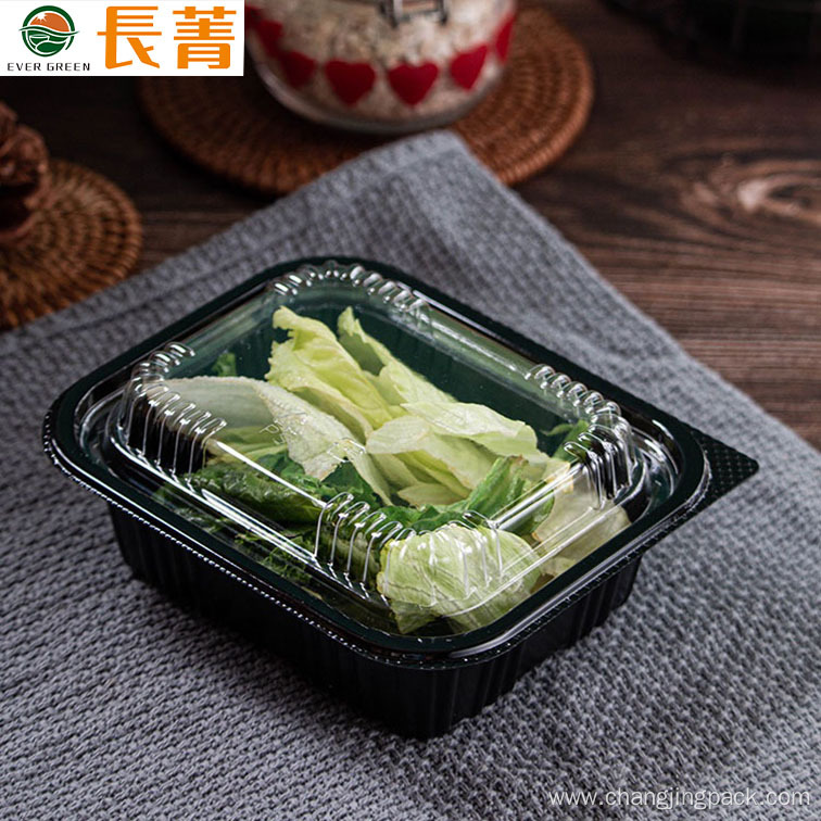 Custom Microwavable PP Rectangular Food Tray Sushi Trays
