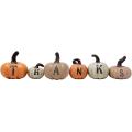 Thanksgiving 6 pcs Hand-Painted Pumpkins Fall House Decor