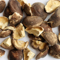 Best Dried Champignon For Health