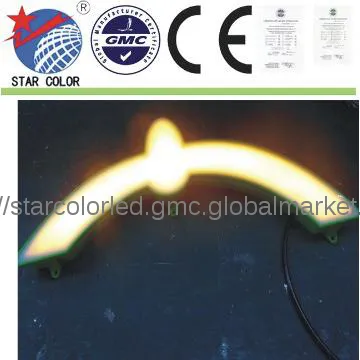 Outdoor LED project lights