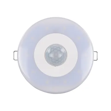 Geagood LED Ceiling Lights with Sensor
