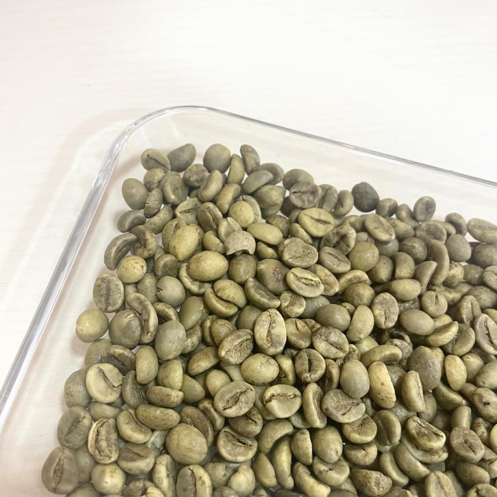 Vietnam robusta yeşil fasulye