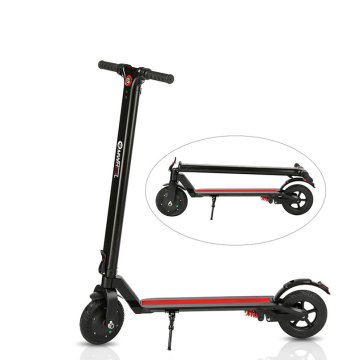 Electric Scooter 8 inch Tire 350W Motor