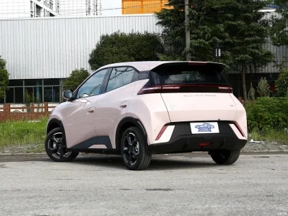 2024 BYD Seagull: Chinese 5-Seat Small Electric Car