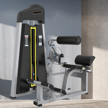 Equipamento de fitness funcional Máquina traseira / abdominal