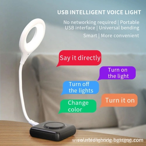 Portable Mini Reading Desk Night Light