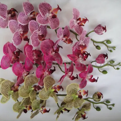 Factory directly orchid flowers price multi-color silk coated artificial orchid flowers fake orchid