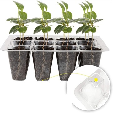 Plant Seeds Crop Protector Seedling Tray Seedling For Plants Crop Guard For Nursery Seedling Garden Tray Pots 12 Hole