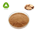 Cistanche Tubulosa Extract 20 ٪ مسحوق Echinacoside