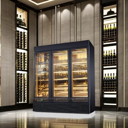 Stainless Steel Beef or Steak Dry Ager Refrigerator