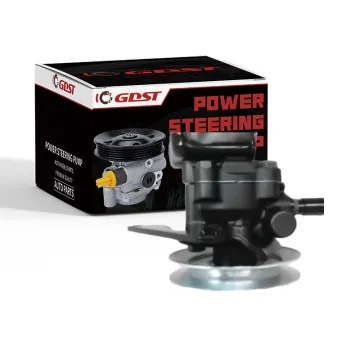 G DST Hydraulic Power Steering Pump Parts Manufacturer for Nissan (49110-66G10)