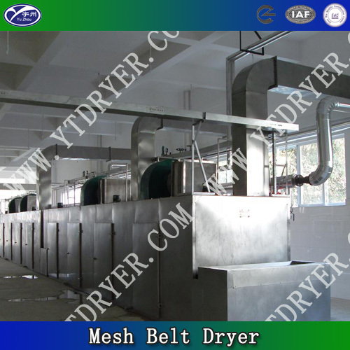 Chinese Yam Belt Drying Equipment