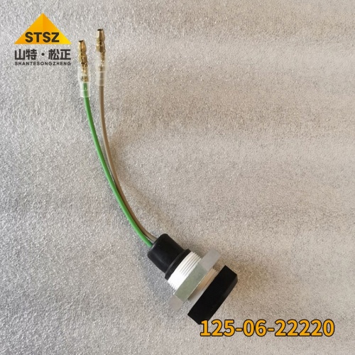 D41A-3/D60A-8 Lamp 125-06-22220