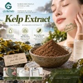 مسحوق مستخلص عشب البحر مع 20% - 50% من السكريات لمستحضرات التجميل والتركيبات الغذائية