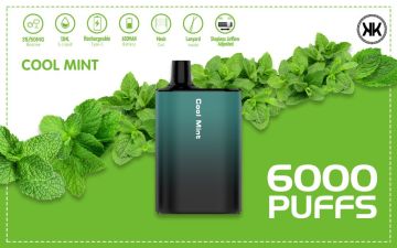 USA hot disposable pod system 6000puffs vape pen
