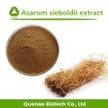 Asarum Sieboldii Extract Powder Herba Asari Extract 10: 1