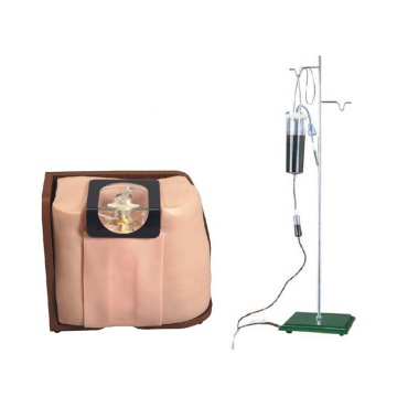 SC-L60 Spine Puncture Medical Model: Advanced PVC Clinical Training Manikin Simulator