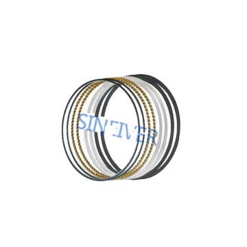 Piston Ring Assembly for Audi and VW Models