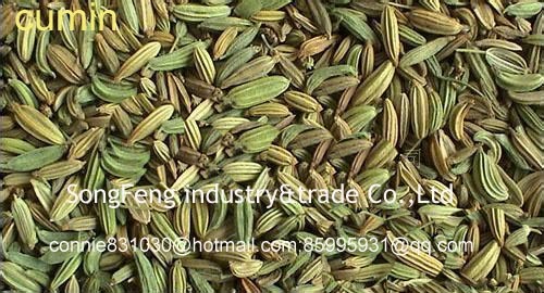 cumin seeds,cumin, fennel,jeera seeds