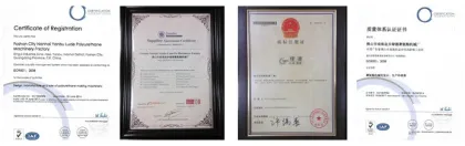 FOSHAN LUDE twin-material foaming machine