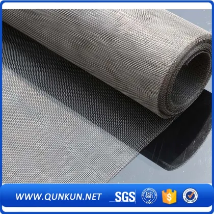 stainless steel wire mesh/mosquito net/water filter