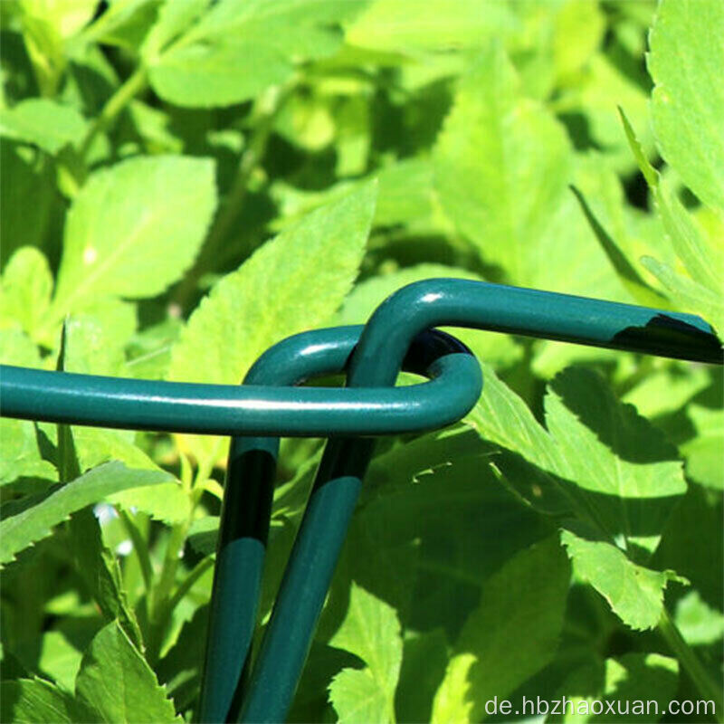 Tomatenkäfiggarten Outdoor Blumenkletterpflanze Unterstützung