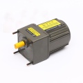 single phase AC Gear Motor 40W 220V