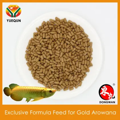 Feed Aquarium Fish Food Compound feed for Gold Arowana