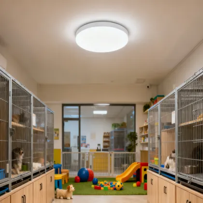 Illuminate Life with Hanghong Lighting