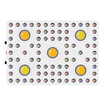 CXB 3590 COB LAMP vol spectrum