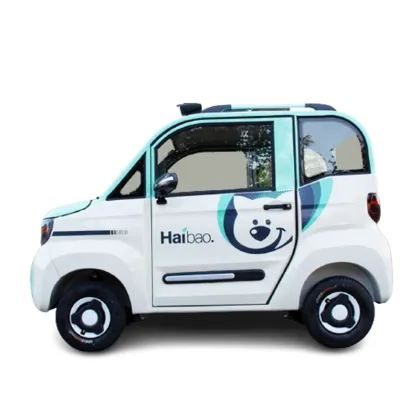 Haibao Cao Mei New Energy Electric Motorcycles and Scooters: Customizable Options with Lithium Batteries