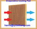 honungskaka evaporativ kylning pad/våt ridå för fjäderfäföretag