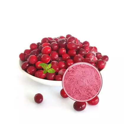 Wholesale cranberry fruit powder