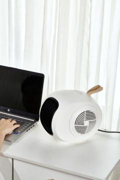 1500W pemanas dan pengering pakaian